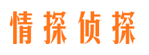 眉县市婚姻调查